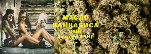 молекула духа Снежногорск