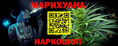сатива Будённовск