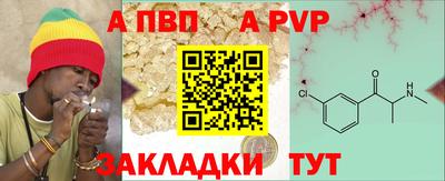 сатива Будённовск