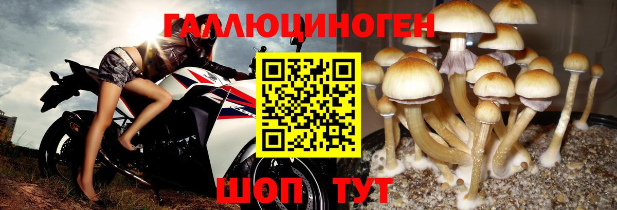 Псилоцибиновые грибы мухоморы  Псилоцибиновые грибы Psilocybine cubensis  Вход с VPN  Карпинск 